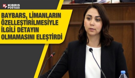 Ayşegül Baybars, limanların özelleştirilmesinde ortaya çıkabilecek sıkıntılara dikkat çekti 