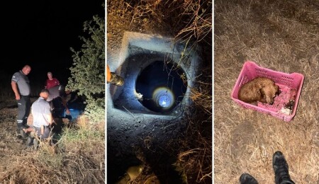 Cengizköy’de 30 metrelik kuyuya düşen köpek kurtarıldı