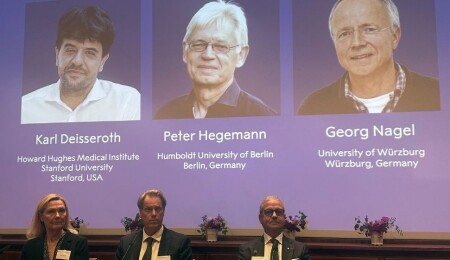 2026 Nobel Tıp Ödülü'nü Deisseroth, Hegemann ve Nagel kazandı