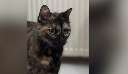 İstanbul'da işkenceyle öldürülen "Cezve"nin katiline indirimsiz 3 yıl 8 ay hapis