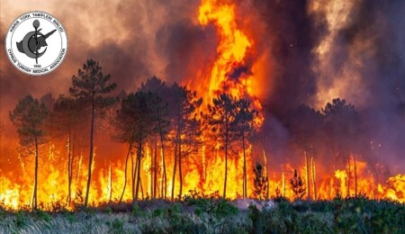 Tabipler Birliği: Orman yangınları, iklim krizinin hayati bir tehdit haline geldiğini bir kez daha ortaya koydu