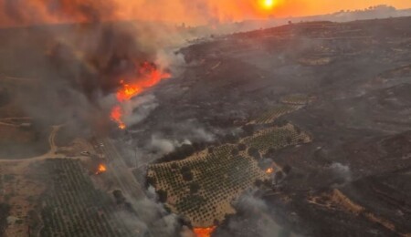 Gençlik Federasyonu, Güney Kıbrıs Gençlik Konseyi'yle yardımı görüştü