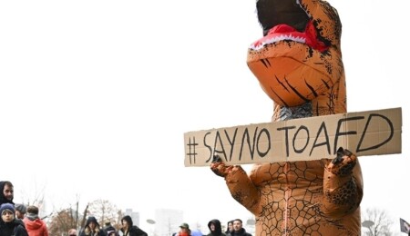 Almanya, AfD’nin "aşırı sağcı" olarak sınıflandırılmasını eleştiren ABD'ye tepki gösterdi