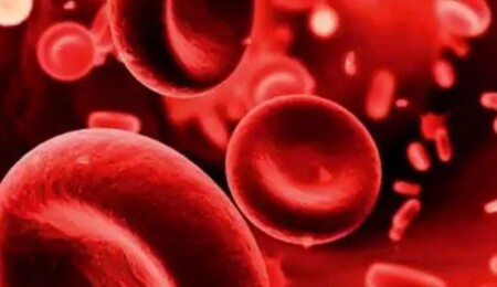 Thalassemia Derneği: Tedavinin eksiksiz uygulanabilmesi için orijinal hizmet koşulları sağlanmalı