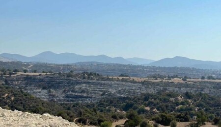 3,5 kilometrekarelik alanda etkin olan Alassa yangınının çıkış noktası tespit edildi