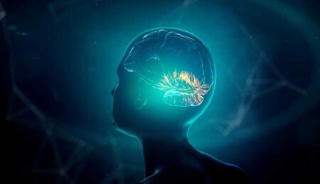 Omega yağ asidi takviyeleri kadınlarda Alzheimer riskini azaltabilir