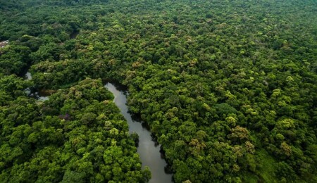 Brezilya Amazonlarındaki kuraklık tehlikesi 500 bin kişiyi olumsuz etkileyebilir