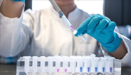 Avrupa'da 166 'gizemli hepatit' vakası tespit edildi