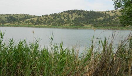 Sivil toplum örgütleri Ayluga Sulak Alanı’nı koruma çağrısında bulundu