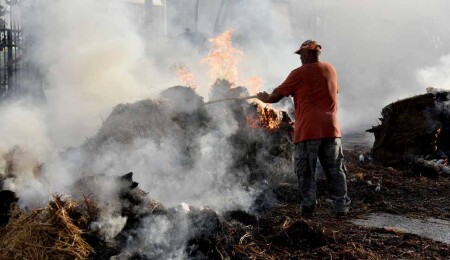 RES-BİR’den et fiyatlarıyla ilgili hükümete çağrı: Kalıcı çözüm bulunmalı