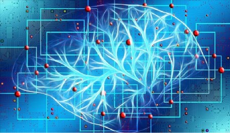 Bilim insanları, ölen bir insanın beyin aktivitelerini ilk kez görüntüledi