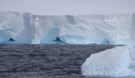 Buzullar eridikçe tehlike artıyor