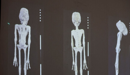Bilim insanları, 'uzaylı mumyaların' sırrını çözdü