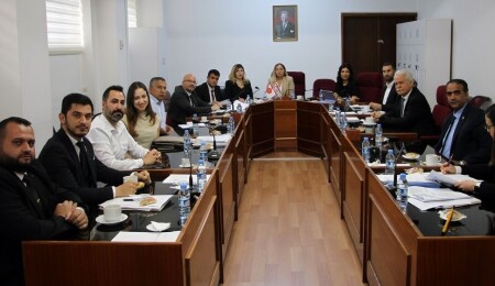 Hukuk Komitesi, Siyasal Partiler ve Sabıka Kaydının Silinmesi Yasa Önerilerini görüştü