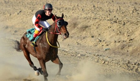 At Yarışları Derneği’nin düzenleyeceği ilk koşu, 25 Mayıs’ta Alayköy Hipodromu’nda!