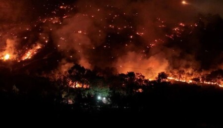 İzmir'de orman yangını: Alevler büyüdü, çok sayıda ev tahliye edildi