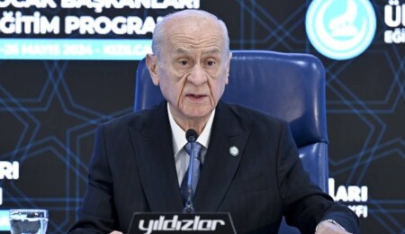 Devlet Bahçeli'den "sokak hayvanları" açıklaması: Nasıl uyutulacak, kaç saat uyutulacak, kim uyutacak?