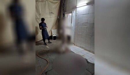 'Taşkınköy Kasap'ta gayri sıhhi ortamda mühürsüz et kesimi!