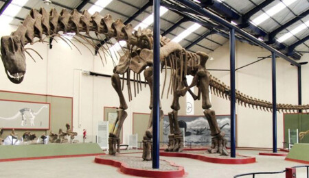 İspanyol ve Portekizli Paleontologlar 30 adet dinozor yumurtası buldu