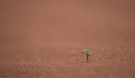 Bilim insanları, iklim aksiyonunun artırılması için fırsat penceresinin hızla kapandığı uyarısında bulundu