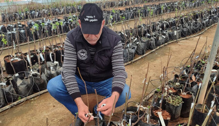 Bitkilerde çoğaltma ve aşılama teknikleri konusunda uygulamalı eğitimler verilecek