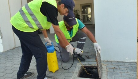 LTB hamamböceği ilaçlama çalışmalarını Taşkınköy’de sürdürüyor
