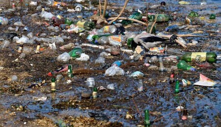 Lefke Çevre ve Ekoloji Derneği’nden Çevre Günü mesajı: Her birey çevresine karşı sorumlu