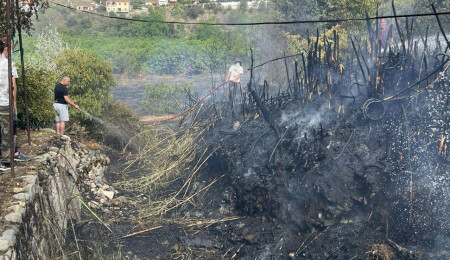 Aziz Kaya, Lefke'deki yangının kontrol altına alındığını duyurdu