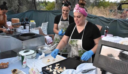 12. Kalkanlı Çakisdez Festivali 26 Eylül’de başlıyor!