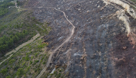Fransa’da Pennes-Mirabeau’da çıkan yangın nedeniyle 750 hektardan fazla orman yandı