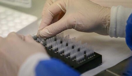 Altı parmaklı çocukların doğmasına yol açan bir bozukluk belirlendi