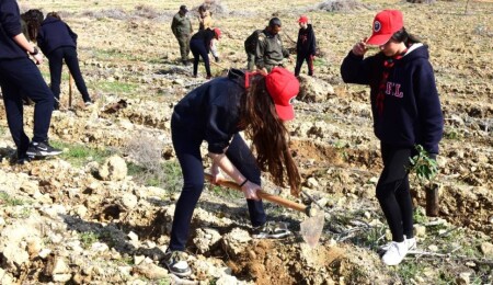 Gençlik Dairesi organizasyonunda 550 fidan ekildi