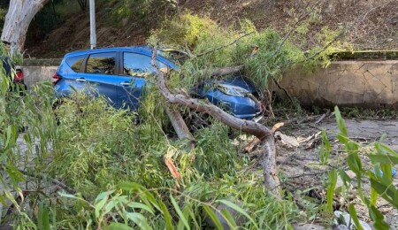 118 kilometreyi aşan rüzgarlar etkisini tedricen azaltacak