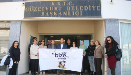 CTP Güzelyurt İlçesi: Sahipsiz köpekler bir eşya değil, candır!