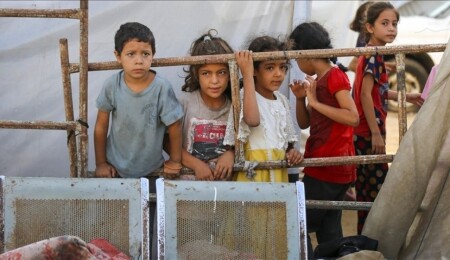 İsrail'in Gazze'ye saldırılarında ölen çocuklar anısına Katar'da binlerce oyuncak ayı sergilendi