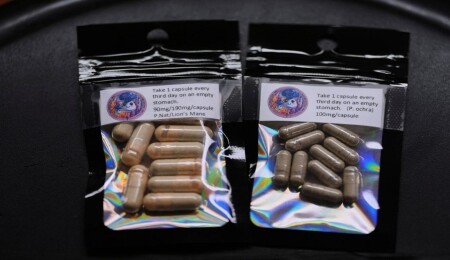 Yeni Zelanda'da depresyon, "sihirli mantarla" tedavi edilebilecek