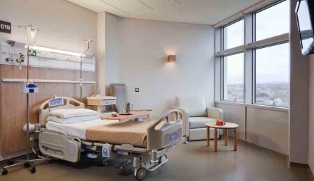 İki İngiliz, Güney Kıbrıs’ta Dang Humması teşhisiyle tedavi altına alındı