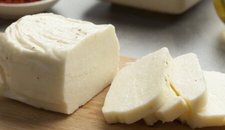 Hellim üretimi için damızlık koyun projesine başvurular devam ediyor