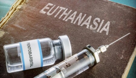 Güney Kıbrıs’ta ötenazi tartışması