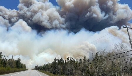 Kanada'da etkisini sürdüren orman yangınlarında 3 milyon hektarlık alan zarar gördü 