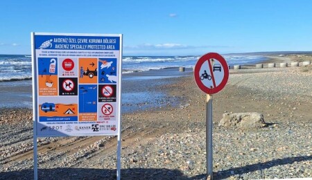 Akdeniz Özel Çevre Koruma Bölgesi’nde deniz kaplumbağalarını korumak için levhalar dikildi