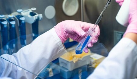 Türkiye'de 2023'te 5 binden fazla kök hücre nakli yapıldı