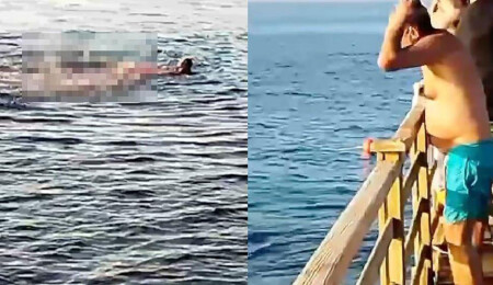 Mısır’da korkunç köpekbalığı saldırısı: Denizin ortasında can pazarı yaşandı…