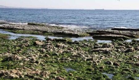 Kandilli Rasathanesi: Marmara Denizi'nde suyun çekilmesi deprem kaynaklı değil