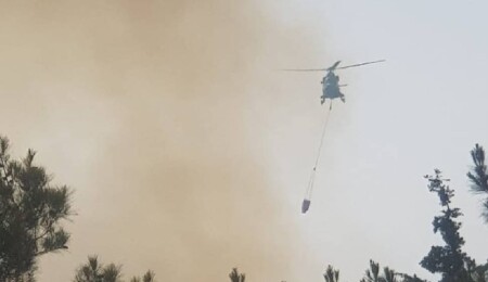Tatlısu-Mersinlik arasında yangın... Hayri Orçan: Yangın biraz daha kontrollü sürüyor