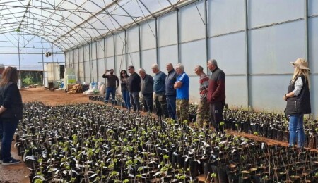 Güzelyurt’ta meyve ağaçlarında aşılama eğitimi verilecek