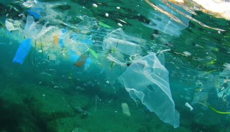 Denizlerin en derin noktalarında mikroplastik bulundu