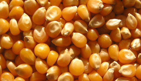 Uzmanlardan patlamış mısır önerisi