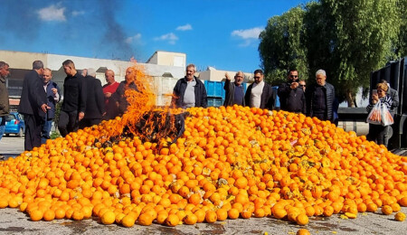 Erkut Şahali: "Narenciye yanmaz" deme, yanar!