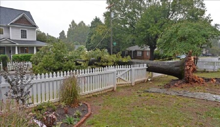 ABD'nin Florida eyaleti, bugün karaya ulaşacak Nicole Kasırgası'na hazırlanıyor